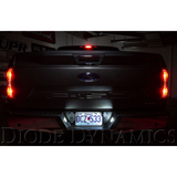 18-26 Ford F-150 Diode Dynamics DD0328P License Plate LED Bulbs HP3 Natural White (Pair)