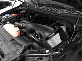 aFe MagnumFORCE Pro DRY S Stage-2 Intake System 15-23 Ford F-150 EcoBoost V6 Cold Air Intakes aFe