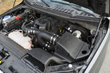 15-25 Ford F-150 / 17-25 Raptor / 18-24 Expedition / Navigator V6 2.7L/3.5L EcoBoost Injen EVO9107 Evolution Intake
