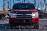 15-20 Ford F-150/Raptor Diode Dynamics DD6569 Pro SS3 LED Ditch Light Kit - White Combo