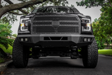 15-17 Ford F-150 Body Armor 4x4 FD-19336 Eco Series Front Bumper