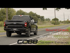 17-20 Ford F-150 EcoBoost COBB 5F1100 Cat-Back Exhaust