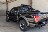 17-20 Ford F-150 Raptor V6 Addictive Desert Designs C115802800103 Race Series-R Chase Rack C115802800103